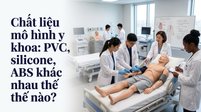 Chất liệu mô hình y khoa: PVC, silicone, ABS khác nhau thế nào?