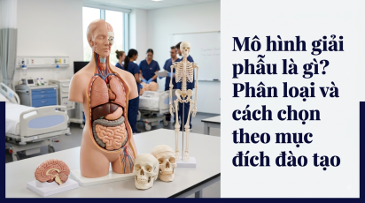 Mô hình giải phẫu là gì? Phân loại và cách chọn theo mục đích đào tạo