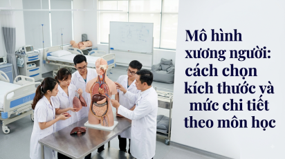Mô hình xương người: cách chọn kích thước và mức chi tiết theo môn học