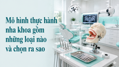 Mô hình thực hành nha khoa gồm những loại nào và chọn ra sao