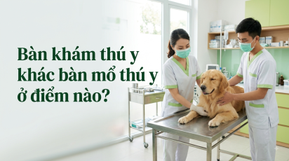 Bàn khám thú y khác bàn mổ thú y ở điểm nào?