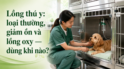 Lồng thú y: loại thường, giảm ồn và lồng oxy — dùng khi nào?