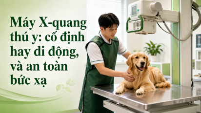 Máy X-quang thú y: cố định hay di động, và an toàn bức xạ