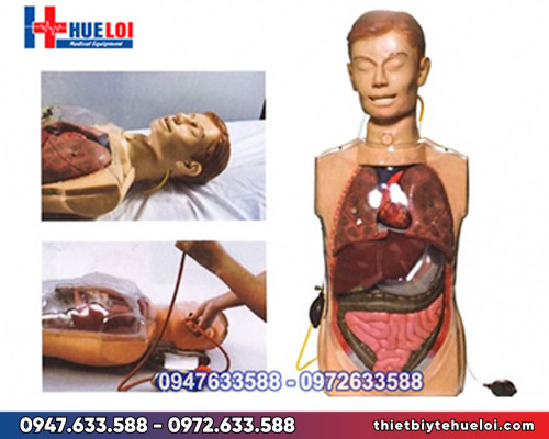 Mô hình thực hành rửa dạ dày