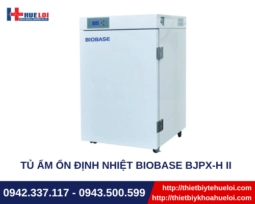 Tủ ấm ổn định nhiệt Biobase BJPX-H