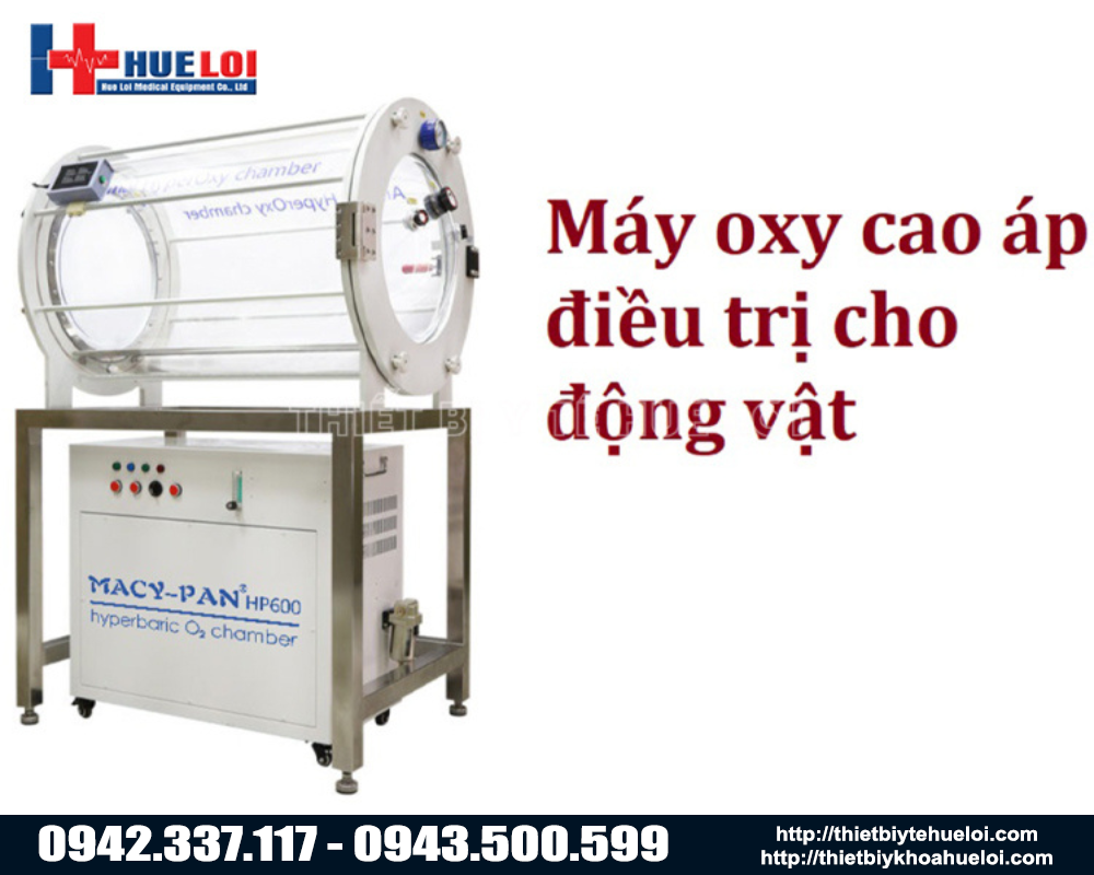 buồng oxy cao áp thú y 
