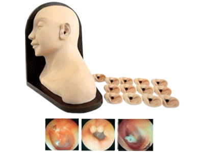 Mô Hình Thăm Khám - Chẩn Đoán