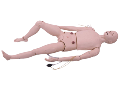 Mô Hình Điều Dưỡng