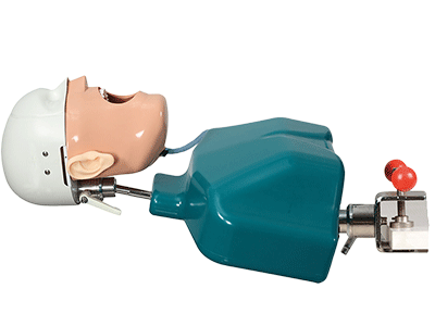 Mô Hình Thực Hành Khám Răng