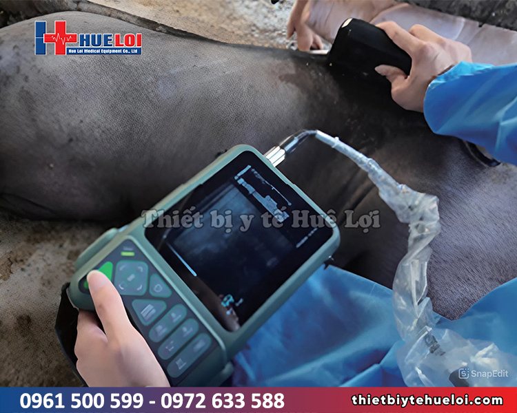 máy siêu âm thai cho heo chính hãng