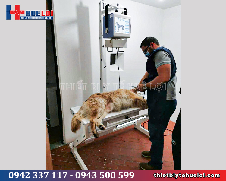 máy x-quang tần số cao cho phòng khám thú y