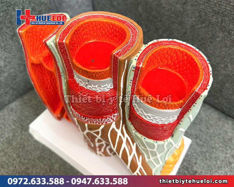 mô hình thành mạch giá rẻ