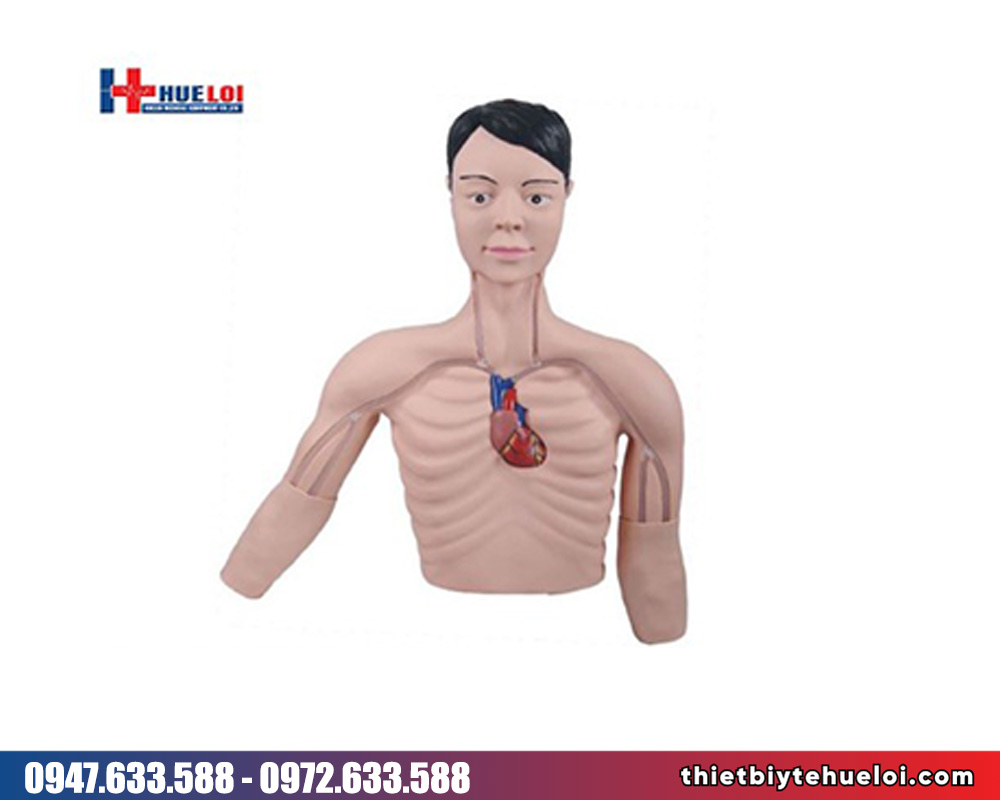 mô hình đào tạo can thiệp picc