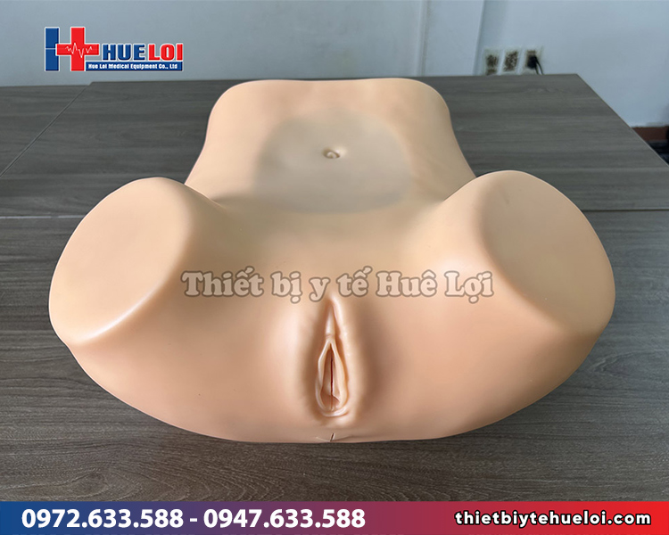 mô hình khám phụ khoa