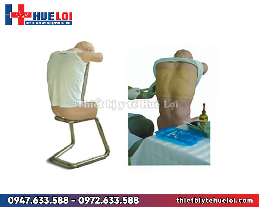 Mô hình chọc dịch màng phổi cao cấp