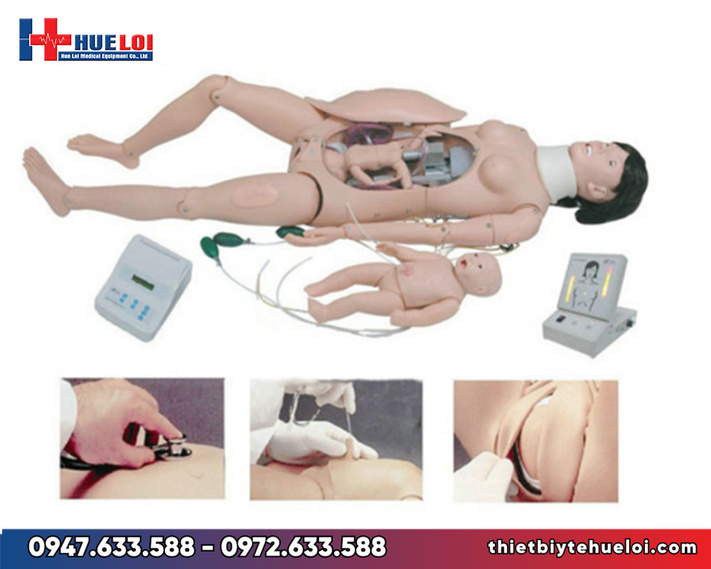 Mô hình đỡ đẻ cao cấp