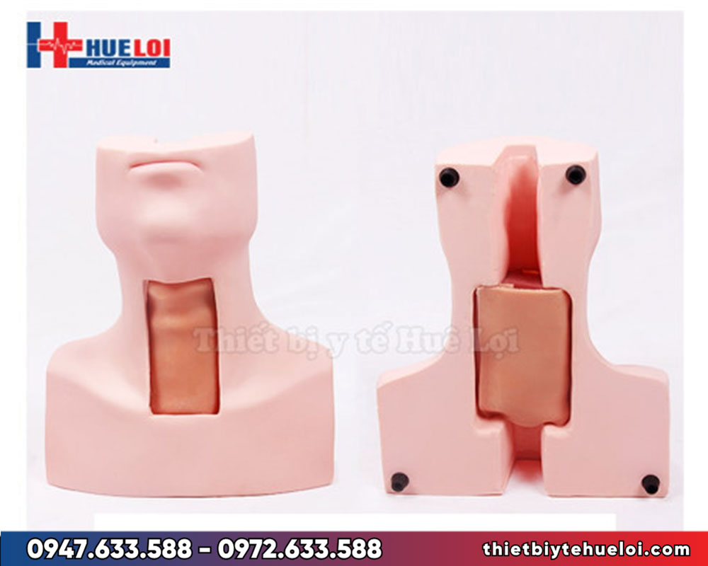 Mô hình thực hành giải phẫu mở khí quản