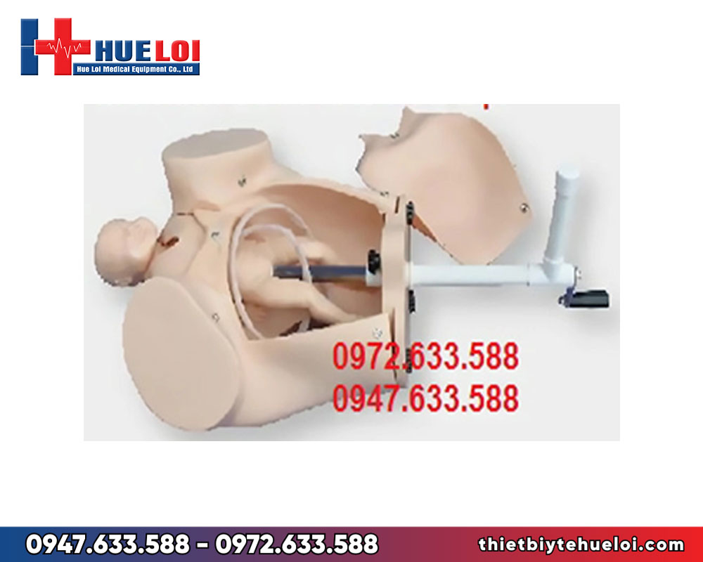 Mô hình thực tập đỡ đẻ đơn giản