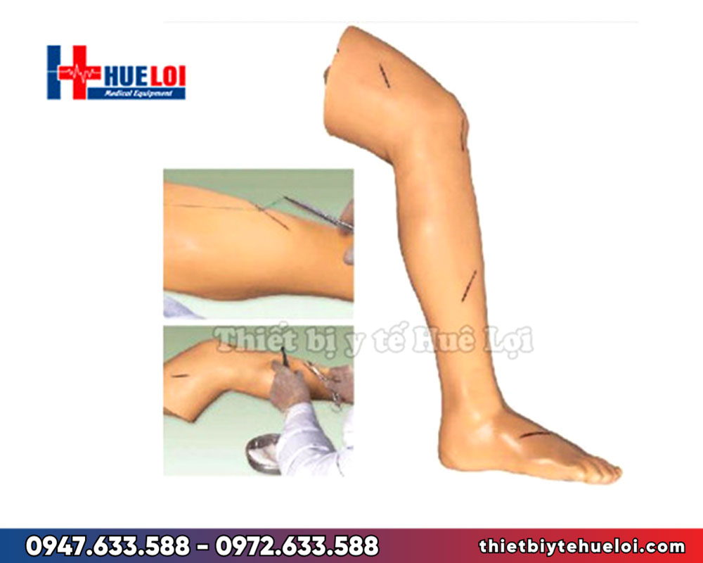 Mô hình thực hành phẫu thuật và khâu da chi dưới