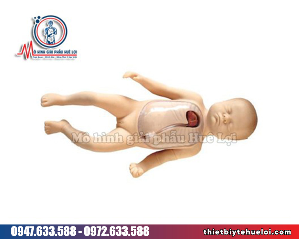 mô hình thực hành đặt ống thông tĩnh mạch cho trẻ em