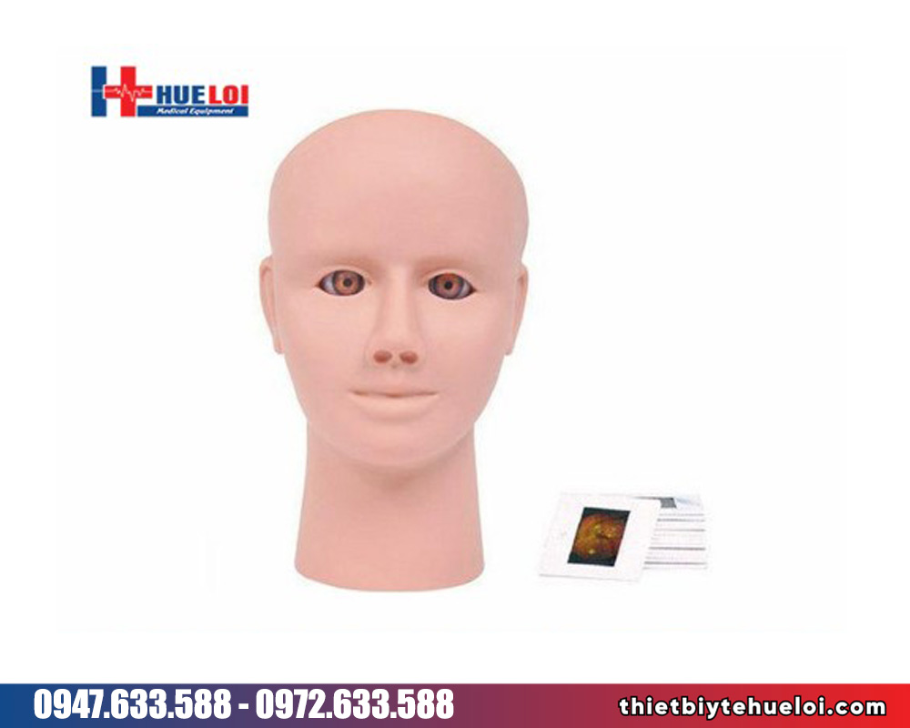 mô hình khám mắt nâng cao