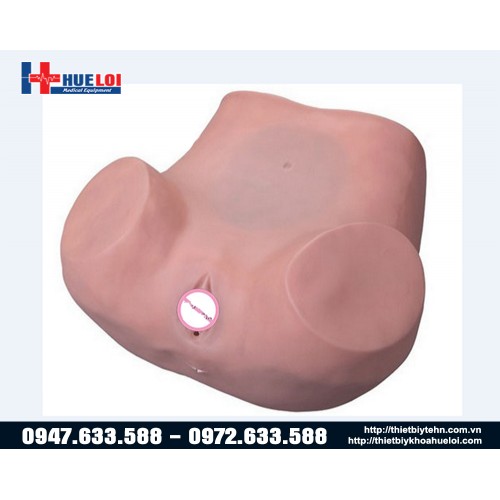 mô hình thực tập khám phụ khoa