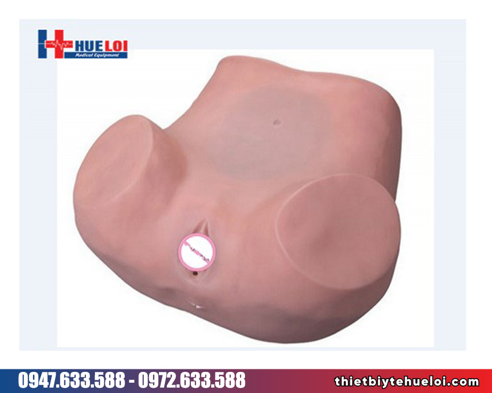 Mô hình thực hành khám phụ khoa