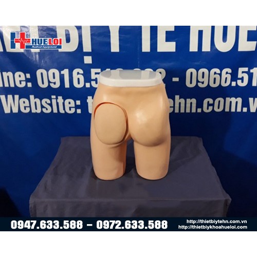 mô hình tiêm bắp sâu