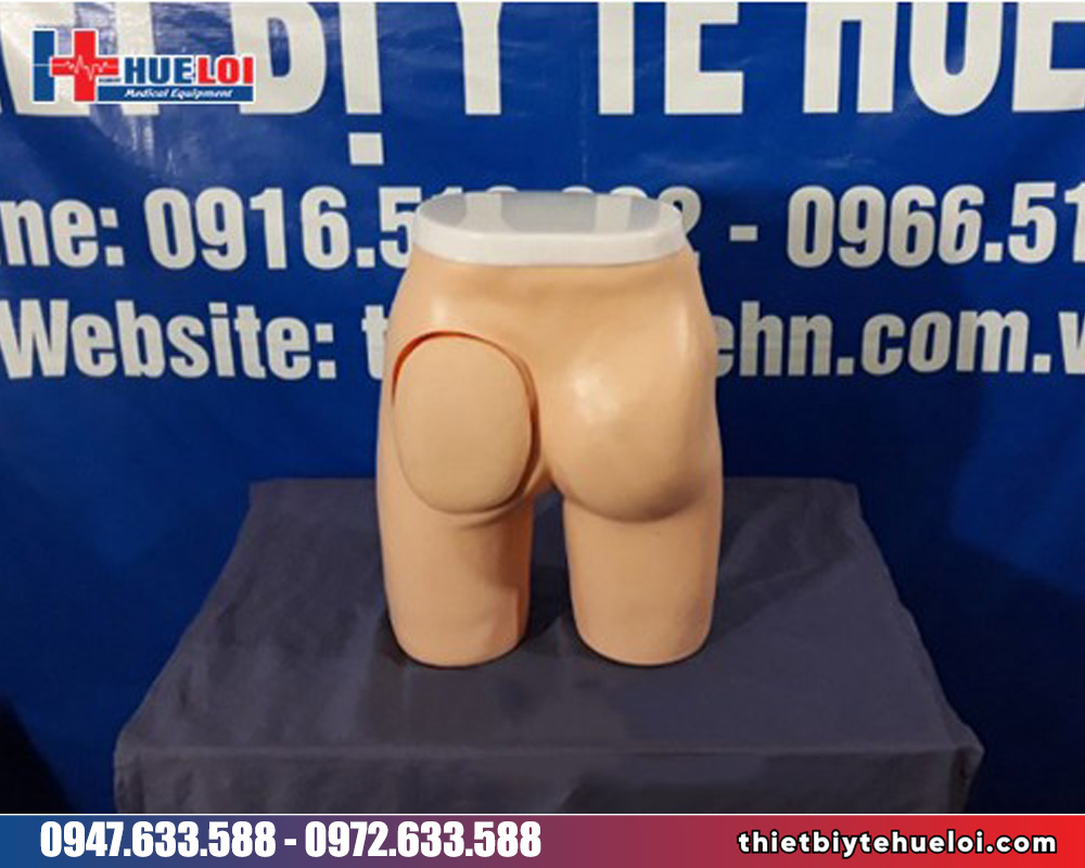 Mô hình thực hành tiêm mông