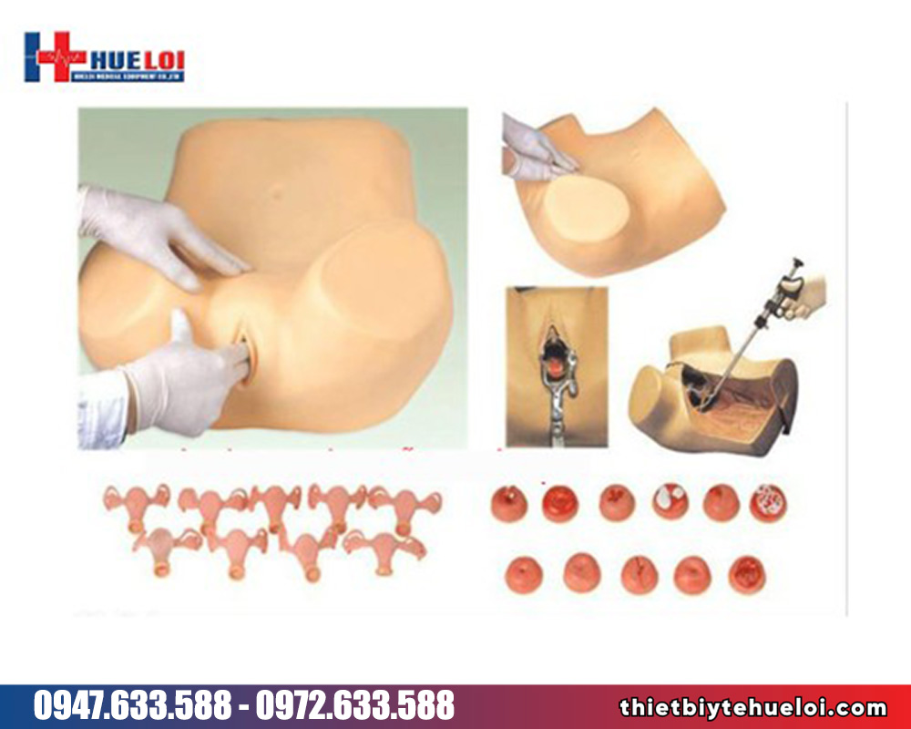 Mô hình thực tập thăm khám chẩn đoán các bệnh lý phụ khoa